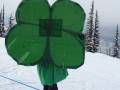1st thing we encountered at Revelstoke was this 4-leaf clover - well it was St.Patricks Day...