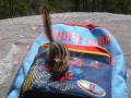 Chipmunks - the cutest, coolest critters in Canada ;o)