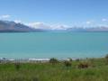 The view across Lake Tekapo to Aoraki - Mt.Cook