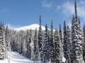 The summit of Revelstoke - an easy hike from the chair