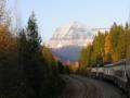 Long-distance shot of Mt.Robson